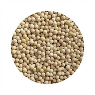 Vitamino C keraminis kamuolys dušo filtrui